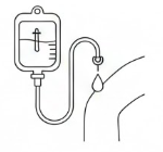 iv
